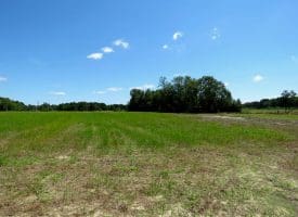 53+/- Acres of Recreational and Residential Land For Sale in Robeson County, NC