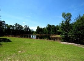 53+/- Acres of Recreational and Residential Land For Sale in Robeson County, NC