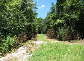 53+/- Acres of Recreational and Residential Land For Sale in Robeson County, NC