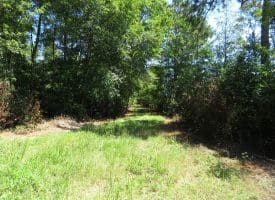 53+/- Acres of Recreational and Residential Land For Sale in Robeson County, NC