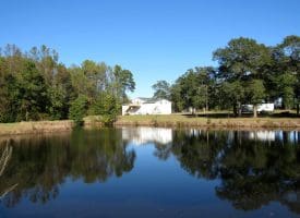 53+/- Acres of Recreational and Residential Land For Sale in Robeson County, NC