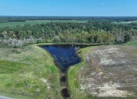 Tract 18 Cowpen 15+/- Acres of Residential and Farm Land For Sale in Robeson County, NC