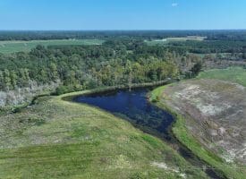 Tract 18 Cowpen 15+/- Acres of Residential and Farm Land For Sale in Robeson County, NC