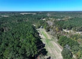 105+/- Acres of Hunting and Recreational Land For Sale in Bladen County, NC