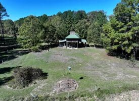 105+/- Acres of Hunting and Recreational Land For Sale in Bladen County, NC