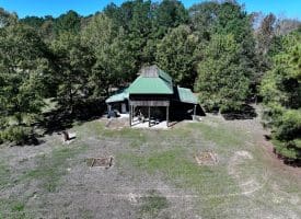 105+/- Acres of Hunting and Recreational Land For Sale in Bladen County, NC