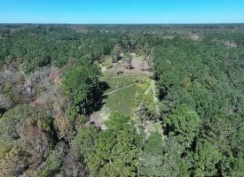 105+/- Acres of Hunting and Recreational Land For Sale in Bladen County, NC