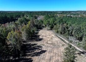 105+/- Acres of Hunting and Recreational Land For Sale in Bladen County, NC