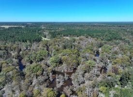 105+/- Acres of Hunting and Recreational Land For Sale in Bladen County, NC