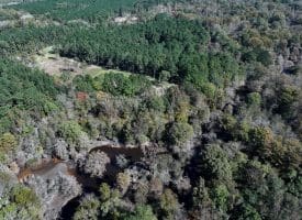 105+/- Acres of Hunting and Recreational Land For Sale in Bladen County, NC