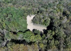 105+/- Acres of Hunting and Recreational Land For Sale in Bladen County, NC