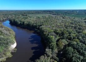 105+/- Acres of Hunting and Recreational Land For Sale in Bladen County, NC