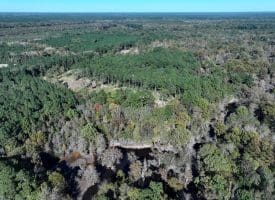 105+/- Acres of Hunting and Recreational Land For Sale in Bladen County, NC