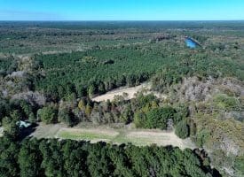 105+/- Acres of Hunting and Recreational Land For Sale in Bladen County, NC