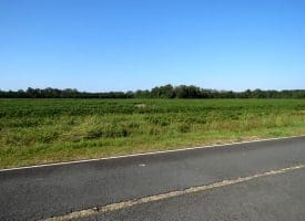 Tract 1 Cowpen 11+/- Acres of Residential and Farm Land For Sale In Robeson County, NC!