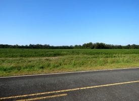 11+/- Acres of Residential and Farm Land For Sale In Robeson County, NC!