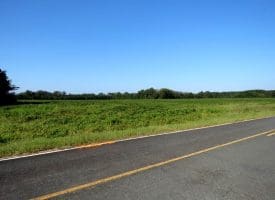 18+/- Acres of Residential and Farm Land For Sale in Robeson County, NC!