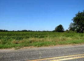 13+/- Acres of Residential and Farm Land for Sale in Robeson County, NC!