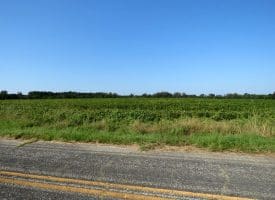 Tract 3 Cowpen 13+/- Acres of Residential and Farm Land for Sale in Robeson County, NC!