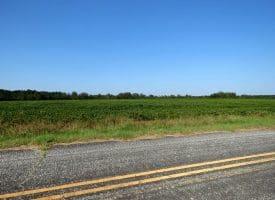 9+/- Acres of Residential and Farm Land For Sale in Robeson County, NC!