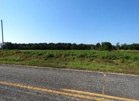 Tract 5 4+/- Acres of Residential and Farm Land for Sale in Robeson County, NC!