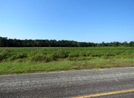 Tract 6 Cowpen 5+/- Acres of Residential and Farm Land For Sale in Robeson County NC!