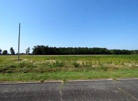 5+/- Acres of Residential and Farm Land for Sale in Robeson County, NC