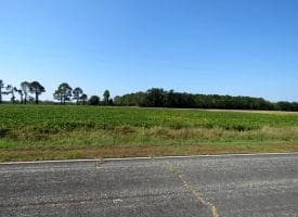 4.5+/- Acres of Residential and Farm Land For Sale in Robeson County, NC!