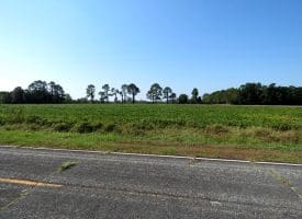 4.5+/- Acres of Residential and Farm Land For Sale in Robeson County, NC!