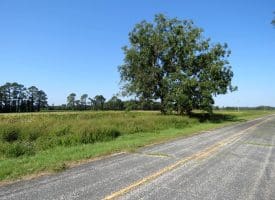 4+/- Acres of Residential and Farm Land For Sale in Robeson County, NC!