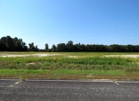 3+/- Acres of Residential and Farm Land for Sale in Robeson County, NC!