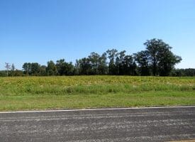 Tract 15 Cowpen 4.4+/- Acres of Residential and Farm Land For Sale in Robeson County, NC!