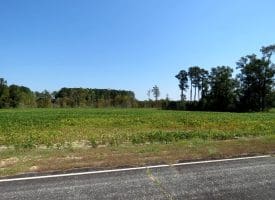 Tract 17 Cowpen 6+/- Acres of Residential and Farm Land For Sale in Robeson County, NC!