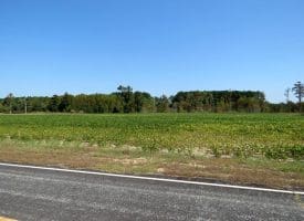 6+/- Acres of Residential and Farm Land For Sale in Robeson County, NC!