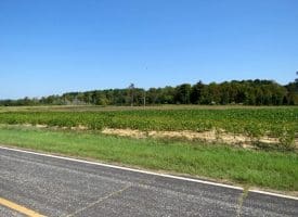 Tract 18 Cowpen 15+/- Acres of Residential and Farm Land For Sale in Robeson County, NC