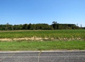 Tract 18 Cowpen 15+/- Acres of Residential and Farm Land For Sale in Robeson County, NC