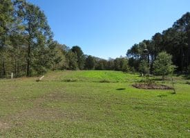 105+/- Acres of Hunting and Recreational Land For Sale in Bladen County, NC