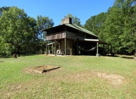 105+/- Acres of Hunting and Recreational Land For Sale in Bladen County, NC