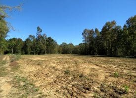 105+/- Acres of Hunting and Recreational Land For Sale in Bladen County, NC