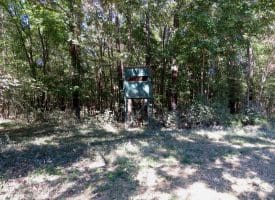 105+/- Acres of Hunting and Recreational Land For Sale in Bladen County, NC