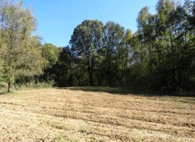 105+/- Acres of Hunting and Recreational Land For Sale in Bladen County, NC