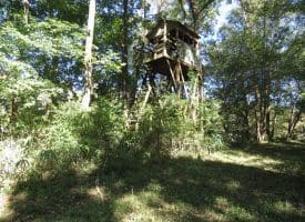 105+/- Acres of Hunting and Recreational Land For Sale in Bladen County, NC