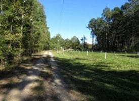 105+/- Acres of Hunting and Recreational Land For Sale in Bladen County, NC