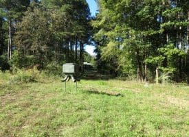 105+/- Acres of Hunting and Recreational Land For Sale in Bladen County, NC