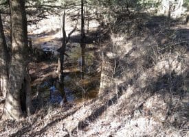 105+/- Acres of Hunting and Recreational Land For Sale in Bladen County, NC