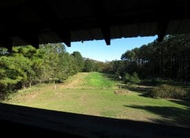 105+/- Acres of Hunting and Recreational Land For Sale in Bladen County, NC