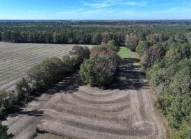 5.5+/- Acres of Residential and Farmland For Sale in Scotland County, NC!