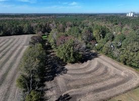 5.5+/- Acres of Residential and Farmland For Sale in Scotland County, NC!