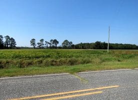 4+/- Acres of Residential and Farm Land for Sale in Robeson County, NC!