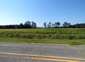 4+/- Acres of Residential and Farm Land for Sale in Robeson County, NC!